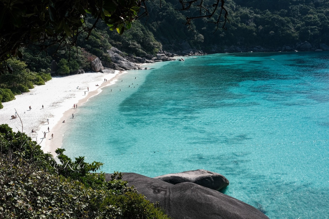 1678931597129851gsg3.jpeg 1678931597129851gsg3.jpeg